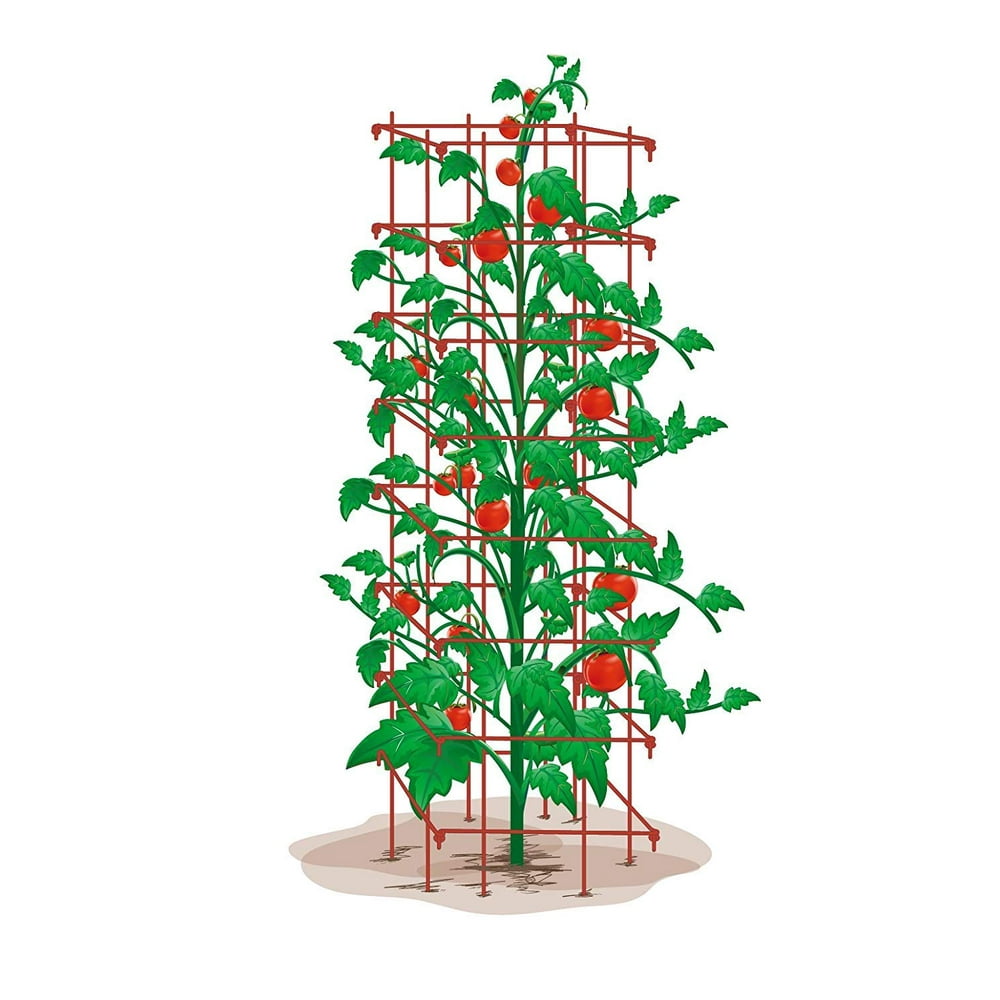 Mr.Garden Vine Trellis Cage Heavy Duty Trellis 64"H x 14"W Green