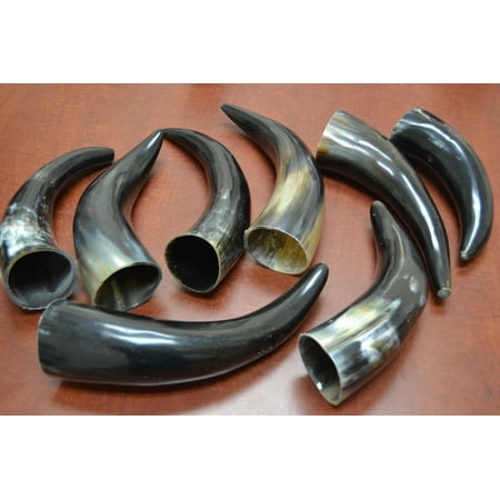 8 Pcs Assort Polished Water Buffalo Hollow Viking Horn 8" - 10"