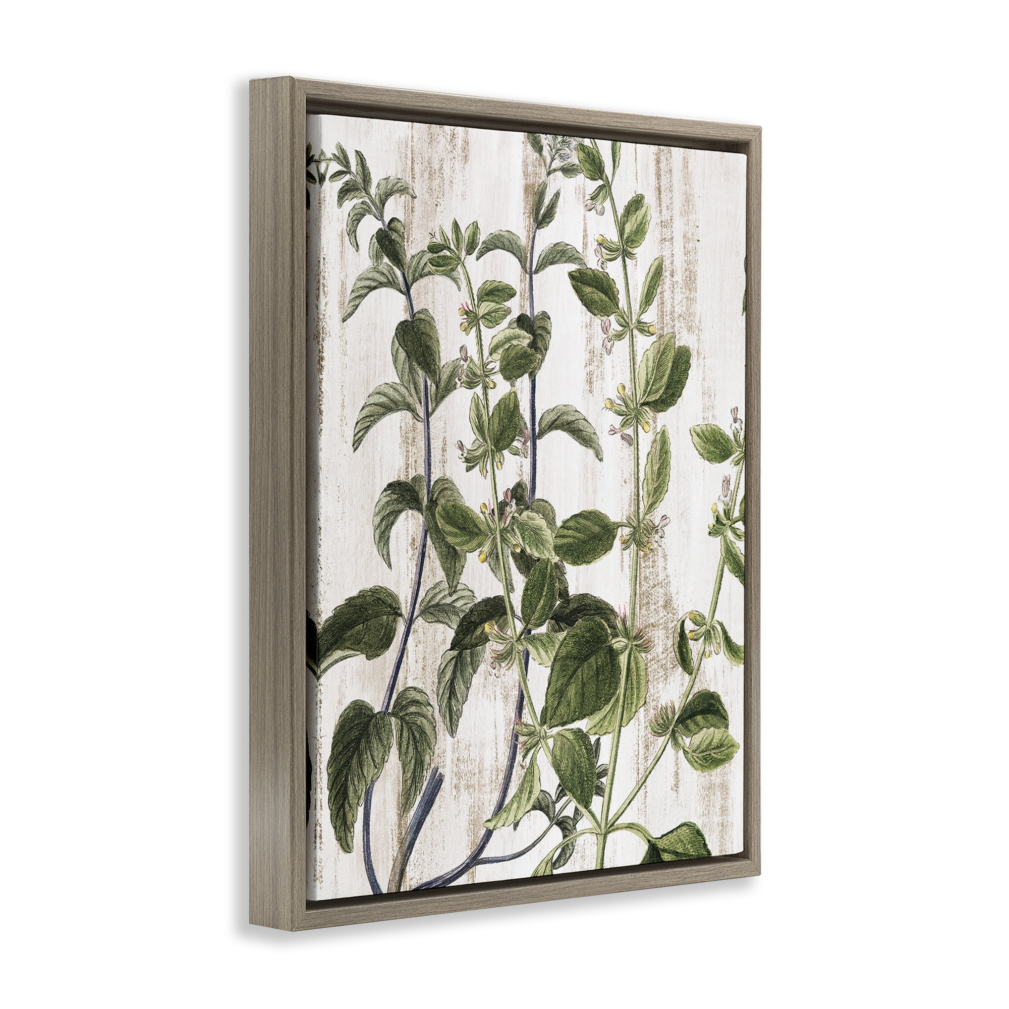 Stupell Industries Rustic Botanical Vines Botanical & Floral Painting Brown Floater Framed Art Print Wall Art, 25 x 31