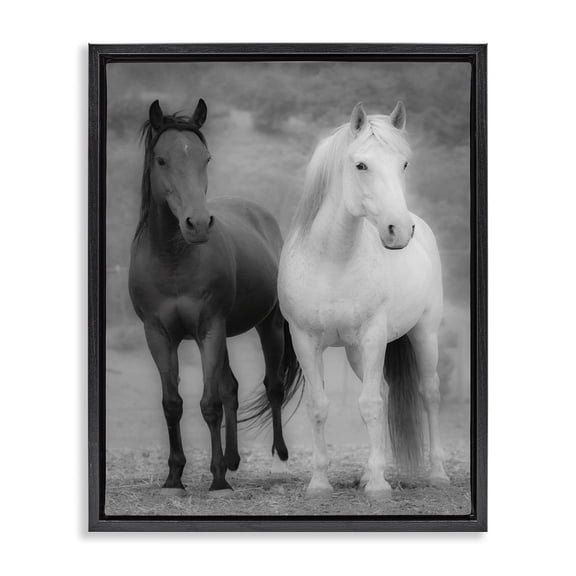 Stupell Industries Farmhouse White & Black Horses Black Floating Frame Canvas Art, 17 x 21, by JG Studios