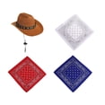 thumbnail image 2 of PORCHA GOOSE COMPTER Halloween Cowboy Gat para césped al aire libre patio de la estatua 4pcs, 2 of 8