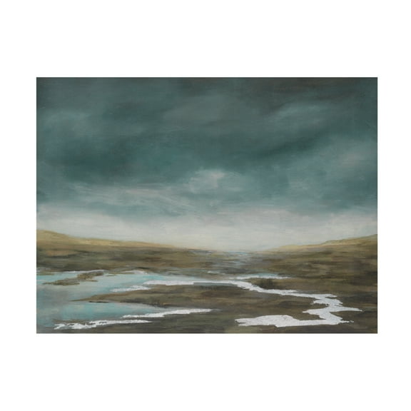 Trademark Fine Art Michael Willett  Basin Squall II Canvas Wall Art