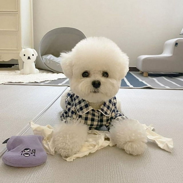 Pijama para mascotas de algodón a cuadros con cierre de velcro y bolsillo trasero para cachorros y gatos, color azul oscuro, talla M, 25 cm/9,8 pulgadas de largo, 35 cm/13,8 pulgadas de busto.