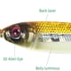 thumbnail image 3 of pstuiky Juego de señuelos de pesca lentos tipo crankbait de metal luminoso, 3 of 7