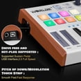 thumbnail image 3 of driver midi lotmusic Worlde TUNA PANDA MINI 25 teclas teclado USB portátil Midi con 8 RGB retroilumi, 3 of 6