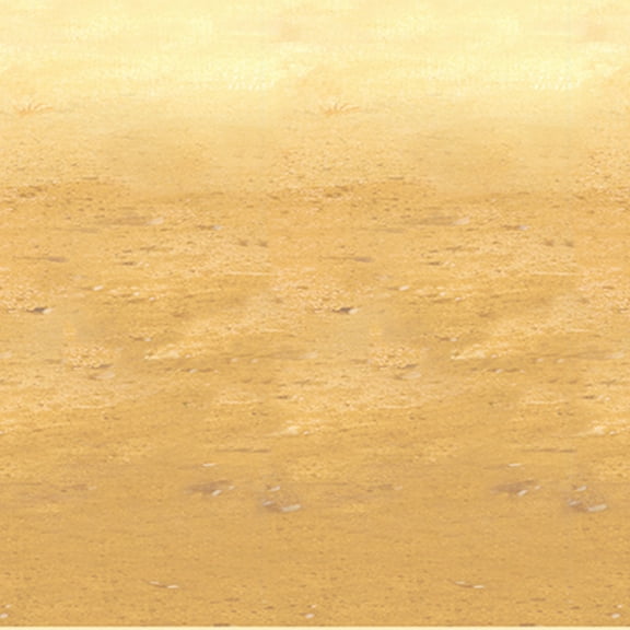 Desert Sand Backdrop, 4' x 30', (1/Pkg)