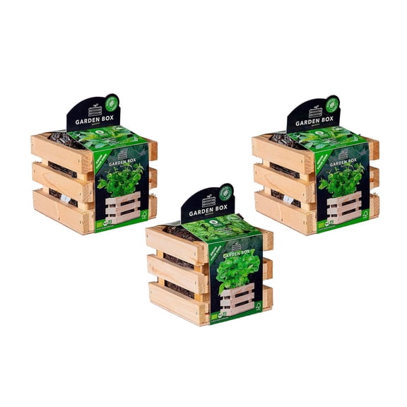 Herb Grow Kit in Wooden Crate