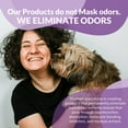 thumbnail image 4 of A.O.E All Purpose Deodorizing Pet Wipes  80 ct, 4 of 8