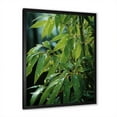 thumbnail image 2 of Designart "Sunset Photography With Bamboo III" Bamboo Picture Framed Wall Art Living Room, 2 of 5