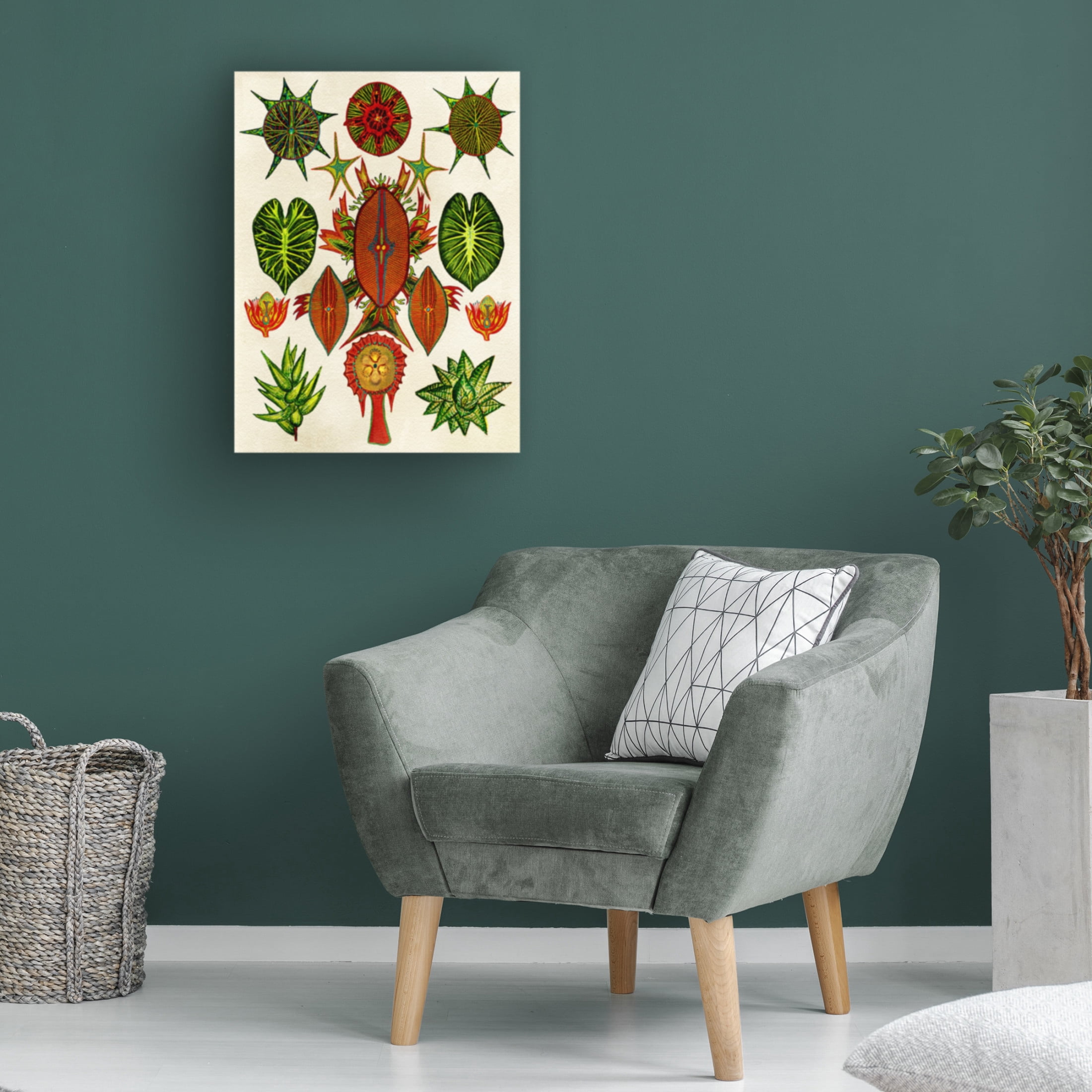 Trademark Fine Art giovanna nicolo Botanical Invention Canvas Wall Art