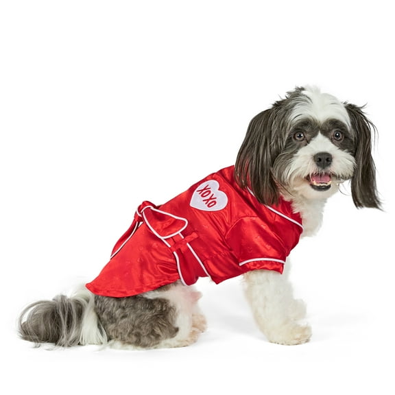 Vibrant Life Valentine's Day Pet Robe for Cats & Dogs, Red, Small