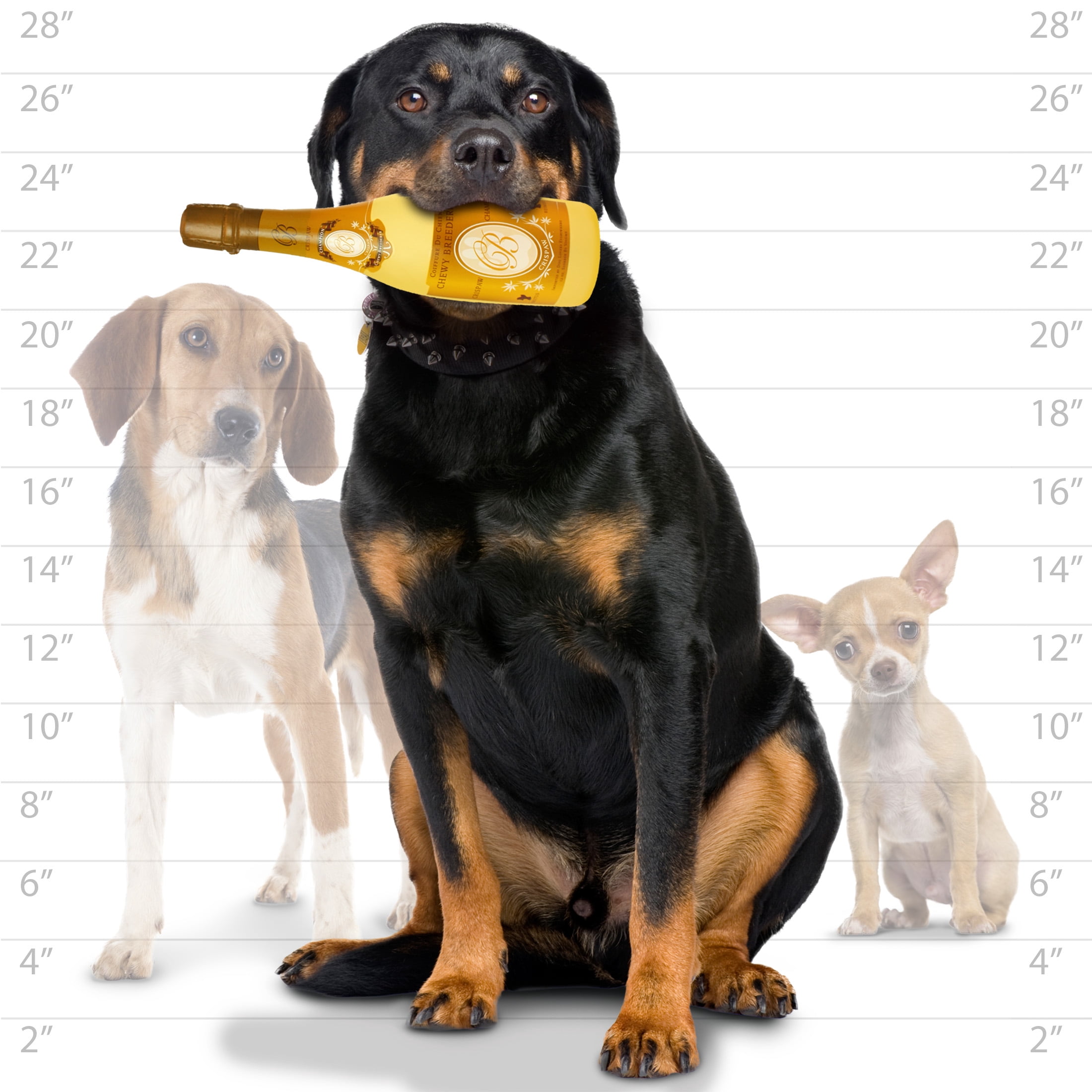 Silly Squeakers Wine Bottle Crispaw Champion Squeaky Vinyl Parody Dog Toy