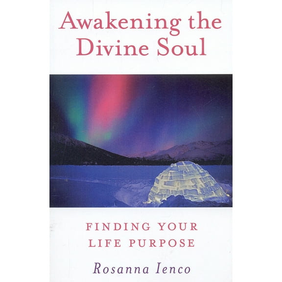 Awakening the Divine Soul : Finding Your Life Purpose (Paperback)