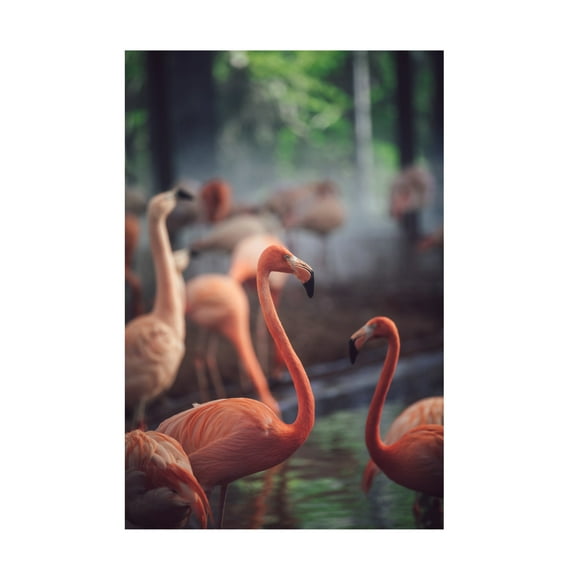 Trademark Fine Art Dayvee Flamingo Canvas Wall Art