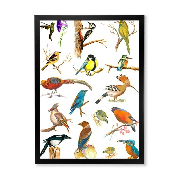 Designart 'Vital Colored Birds Plancard' Traditional Framed Art Print