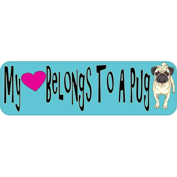 10in x 3in My Heart Belongs To A Pug Magnet Magnetic Car Bumper Magnets