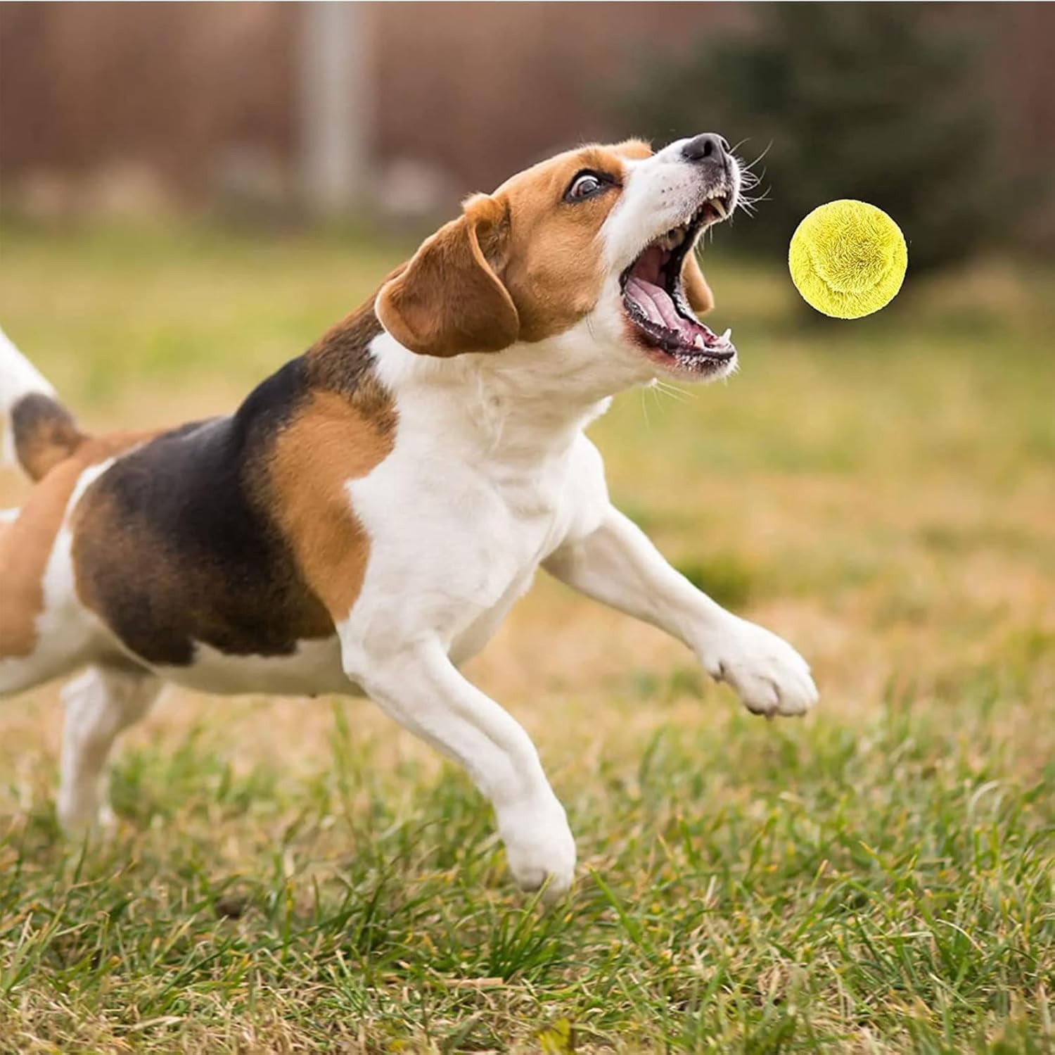 Rectionrae Active Rolling BallActive Rolling Ball Anti-Anxiety Automatic Moving Balls Interactive Dog Toys for Puppy Small Medium Dogs 1SET