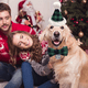 thumbnail image 5 of Disfraz de perro navideño, para perros y gatos pequeños y medianos, 5 of 5
