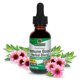 thumbnail image 1 of Suplemento Nature's Answer Immune Boost sin alcohol, 30 ml, 1 of 7
