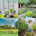 thumbnail image 6 of 2 Pack Garden Trellis and Tomato Cages, Deaunbr Plant Supports Plant Trellis for Climbing Plants Indoor Outdoor, DIY Tomatoes Cage Potted Plant Support Stakes for Vegetable, Rose, Bean, Pots, Clemati, 6 of 6