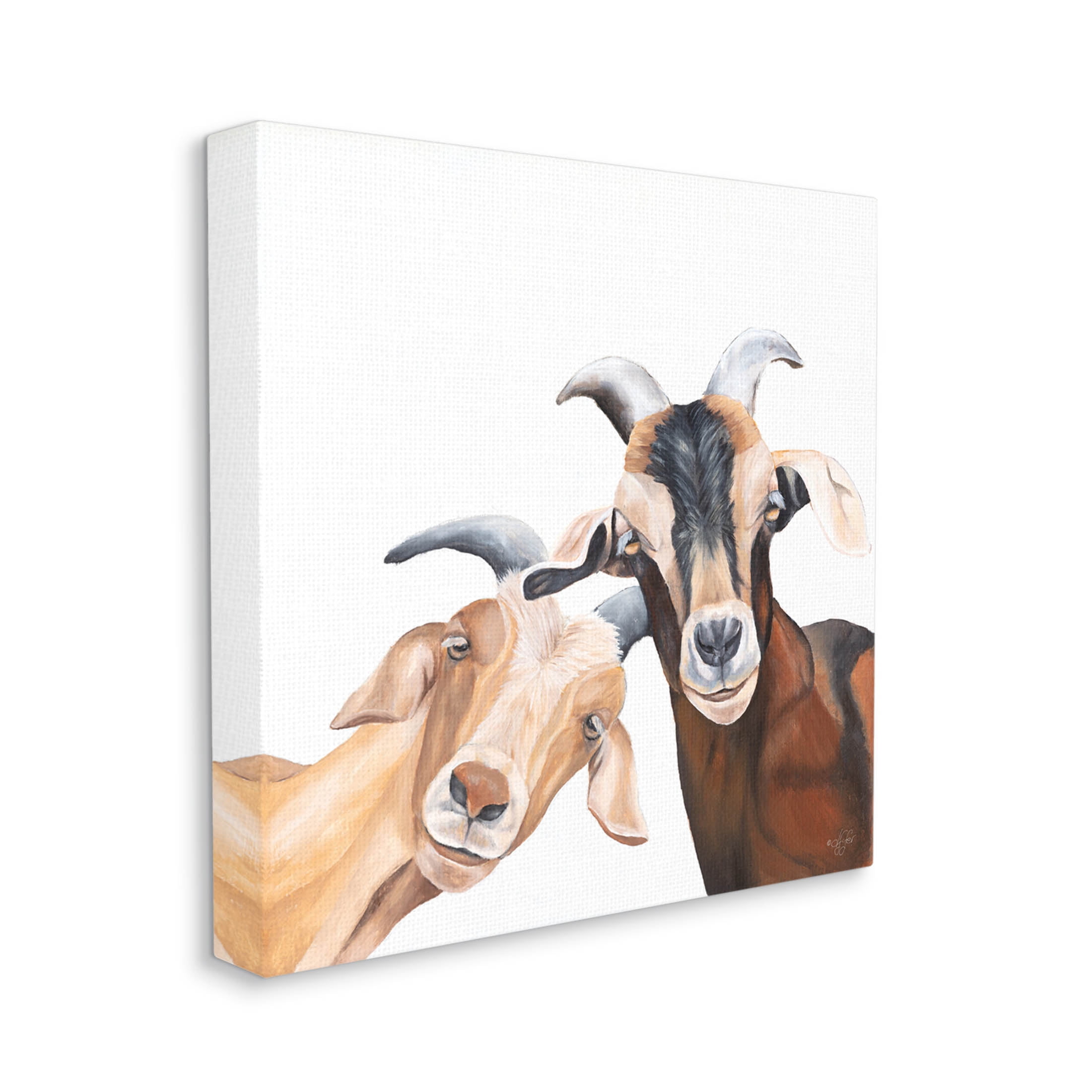 Happy Goat Smiling Animals Animals & Insects Graphic Art Gallery Wrapped Canvas Print Wall Art
