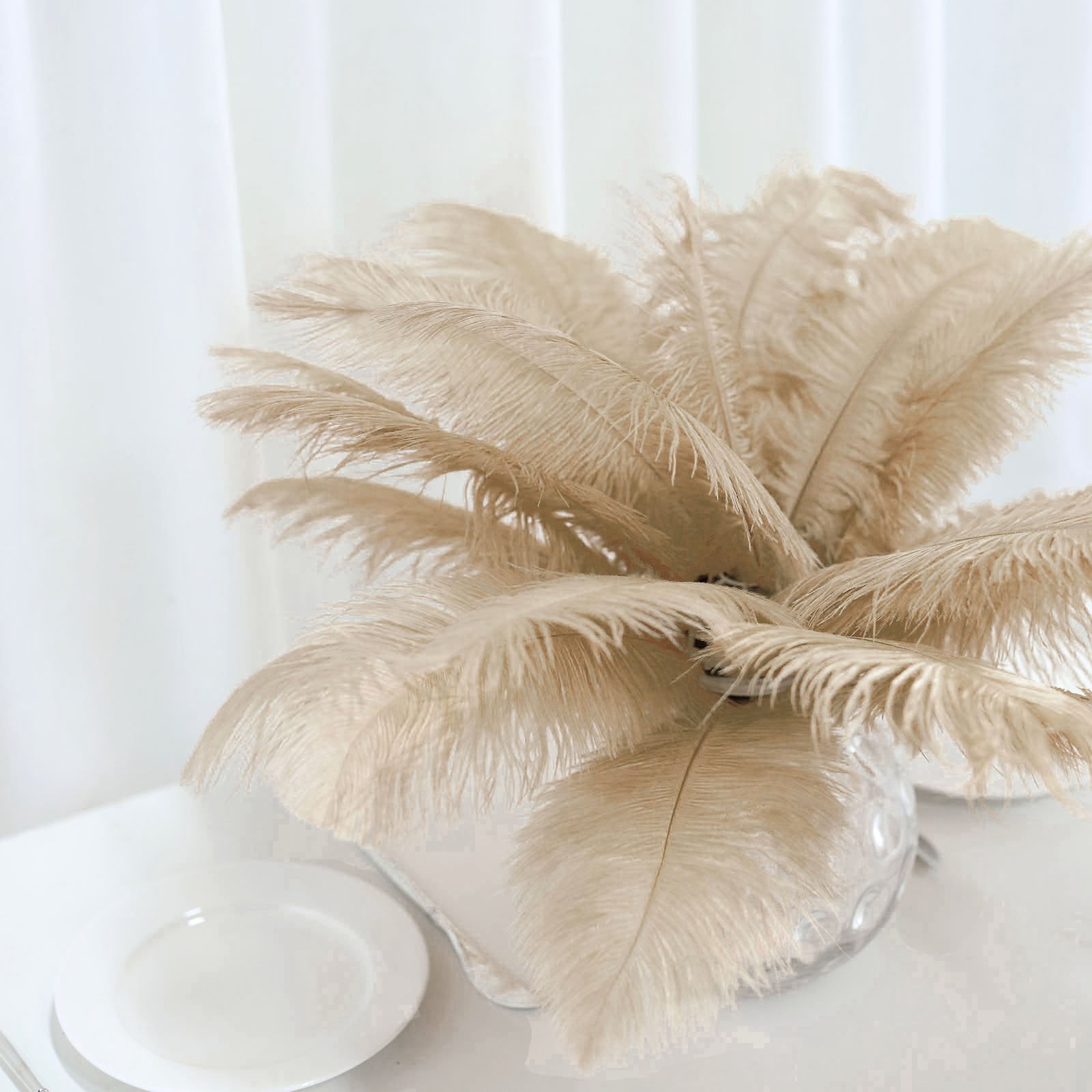 Balsa Circle 12 Pieces 13"-15" Beige Authentic Ostrich Feathers Centerpieces