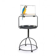 Prevue Hendryx Parrot Playstand, Round
