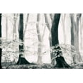 thumbnail image 2 of Van de Goor, Lars 14x11 Gold Ornate Wood Framed with Double Matting Museum Art Print Titled - Silence of the Forest, 2 of 4