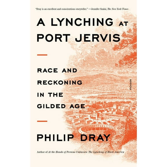 A Lynching at Port Jervis : Race and Reckoning in the Gilded Age (Paperback)