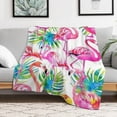 thumbnail image 5 of Flamingo Pattern Throw Blanket for Women, Men & Kids - Super Soft Plush Blanket Throw Fleece Blanket Animal Blanket, 5 of 7