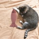 thumbnail image 3 of Juguete interactivo para gatos con forma de pez, almohada para tirar, atractivo juguete para limpiar los dientes. Rojo azufaifo, 3 of 8