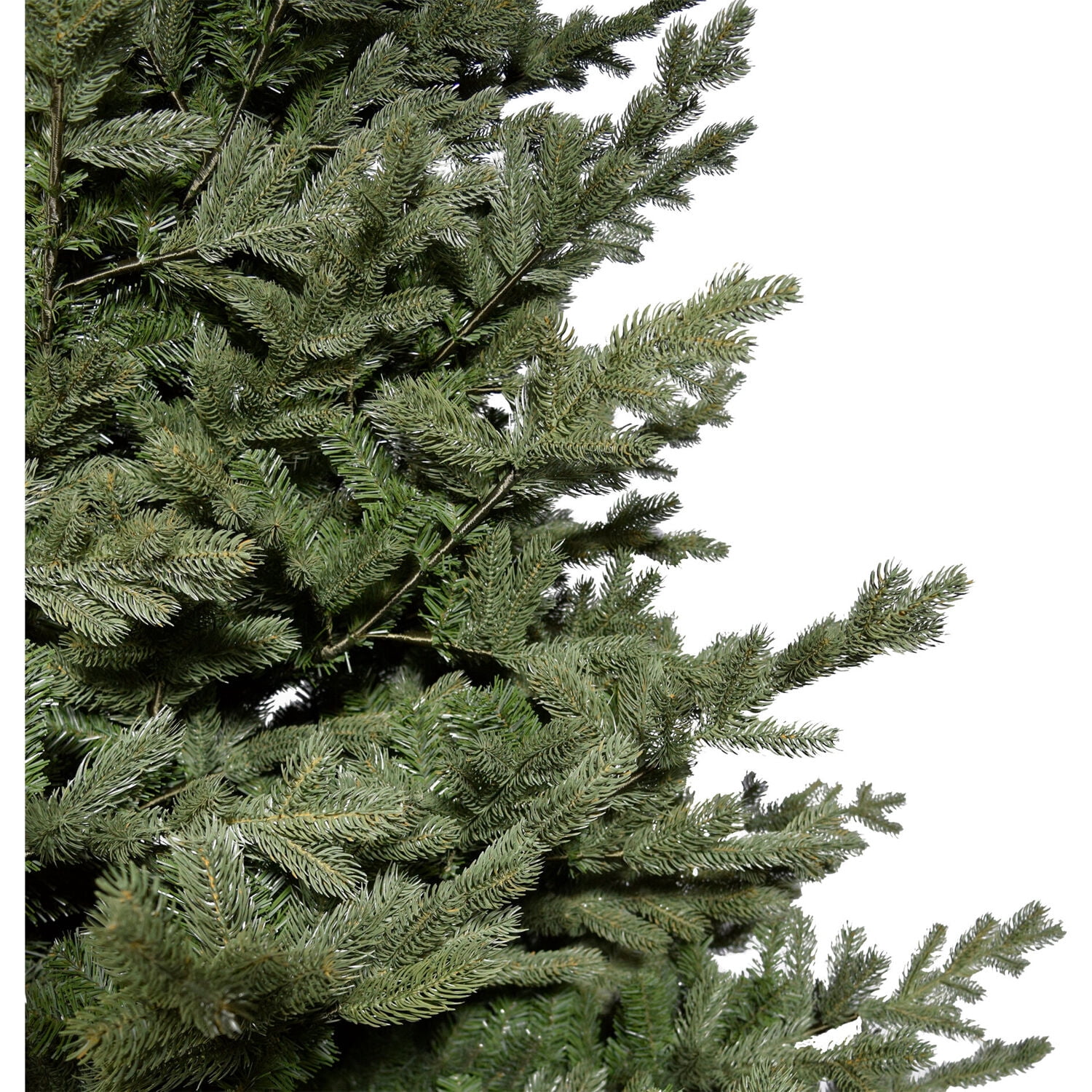 Fraser Hill Farm 10-Ft. Foxtail Pine Christmas Tree, FFFX010-0GR