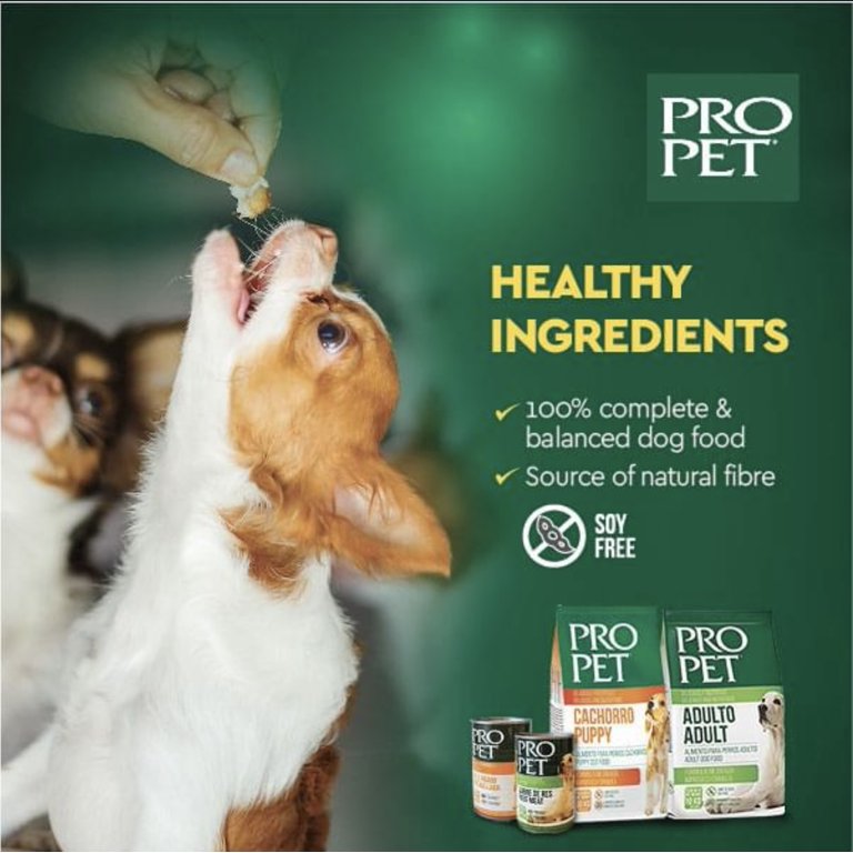 Pro Pet Dry Dog Food for Puppies Cachorro 8.8lbs Bag Improved