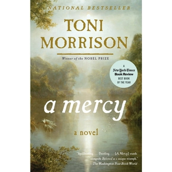 Pre-Owned A Mercy (Paperback 9780307276766) by Toni Morrison