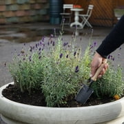 DeWit Welldone, Metal, Black Serrated Gardening Trowel