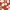 Rust, variant on Nourison Caribbean Indoor/Outdoor Rust 1'9" x 2'9" Area Rug, (2x3)