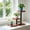 plant stand Under $5 a2, variant on Werulen Multi Layer Wooden Plant Stand Space Saving Sturdy Construction,Home Living Room Garden Planter Display,Multi Tier Flower Rack Stand,Indoor Greenery Holder,Vertical Garden Storage Organizer