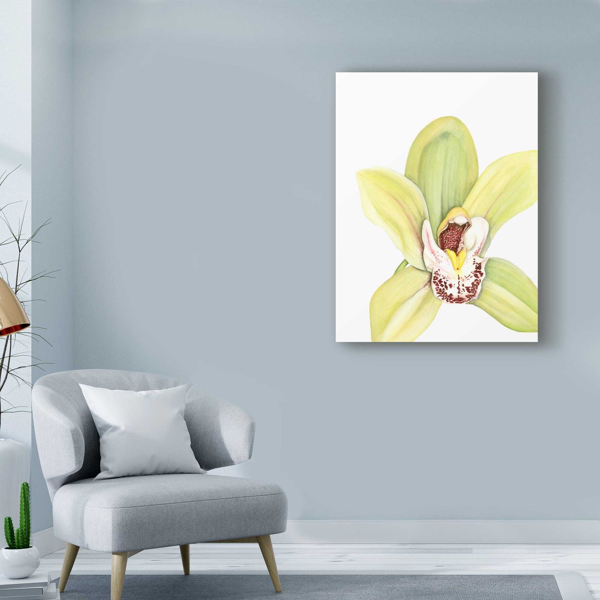 Trademark Fine Art 'Small Orchid Beauty II' Canvas Art by Jennifer Goldberger