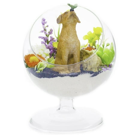 Butterfly Garden Gift Box (Terrarium Kit | Garden Pals | Dog with Butterfly | Complete Terrarium Gift Set | 4
