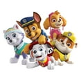 thumbnail image 5 of Playtex Mealtime Paw Patrol Boys Toddler Utensils, 1 Fork & 1 Spoon, 5 of 5