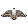 thumbnail image 1 of Gayla Industries 839 Peregrine Falcon Wildlife Wing Flapper Kite-55" Wingspan Set of 2 Kites, 1 of 2