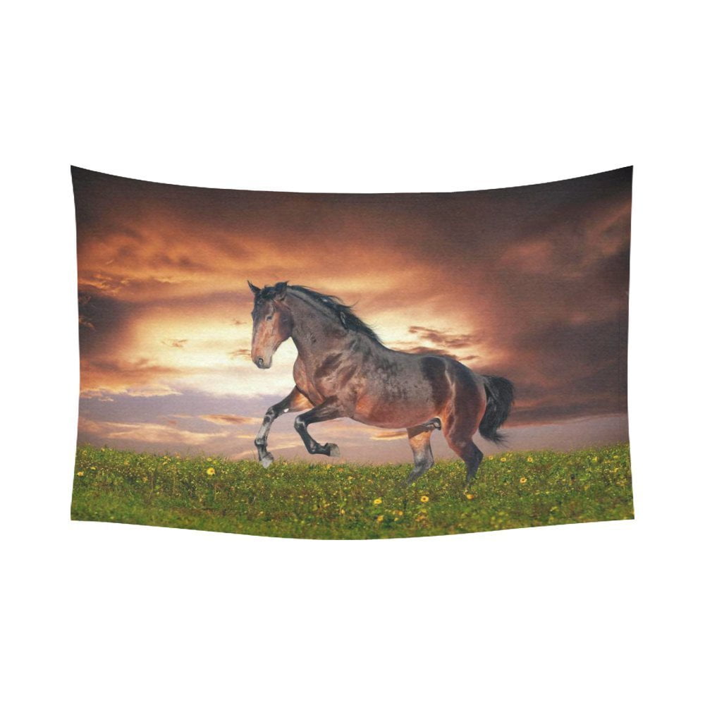 Wall Art Canvas Picture Print Red Horse Run Gallop in the Meadow 2.3