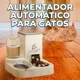 thumbnail image 2 of Alimentador Automático 2 en 1 para Mascotas – Dispensador de Agua y Croquetas, 2 of 8