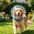 thumbnail image 2 of Mesh Eating Cover for Pet Head, Anti-Scavenging Eating Cover for Small Dogs Cats, Breathable Elastic Hood Barrier, Suitable for Outdoor Walk Protection, 2 of 5