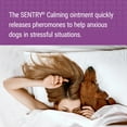 thumbnail image 2 of SENTRY Calming Ointment for Dogs, 1.5 oz, 2 of 5