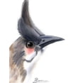 thumbnail image 2 of Shefranov, Olga 15x18 White Modern Wood Framed Museum Art Print Titled - Black Beak III, 2 of 4