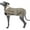 Green, variant on HQREA Reflective Winter Warm Dog Coat with Leash Hole Fleece Jacket for Italian Greyhound Whippet