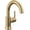 Champagne Bronze, variant on Delta 559Har-Dst Trinsic 1.2 GPM Single Hole Bathroom Faucet - Bronze