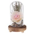 View all media
