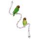 thumbnail image 1 of Uxcell 1-Pack Posaderos de Cuerda para Jaulas de Aves, 31.5 in de Longitud, Posadero de Cuerda Flexible con Agarre Cómodo para Aves, Plataforma para Masticar el Pico y las Patas [Rosa Cian], 1 of 7